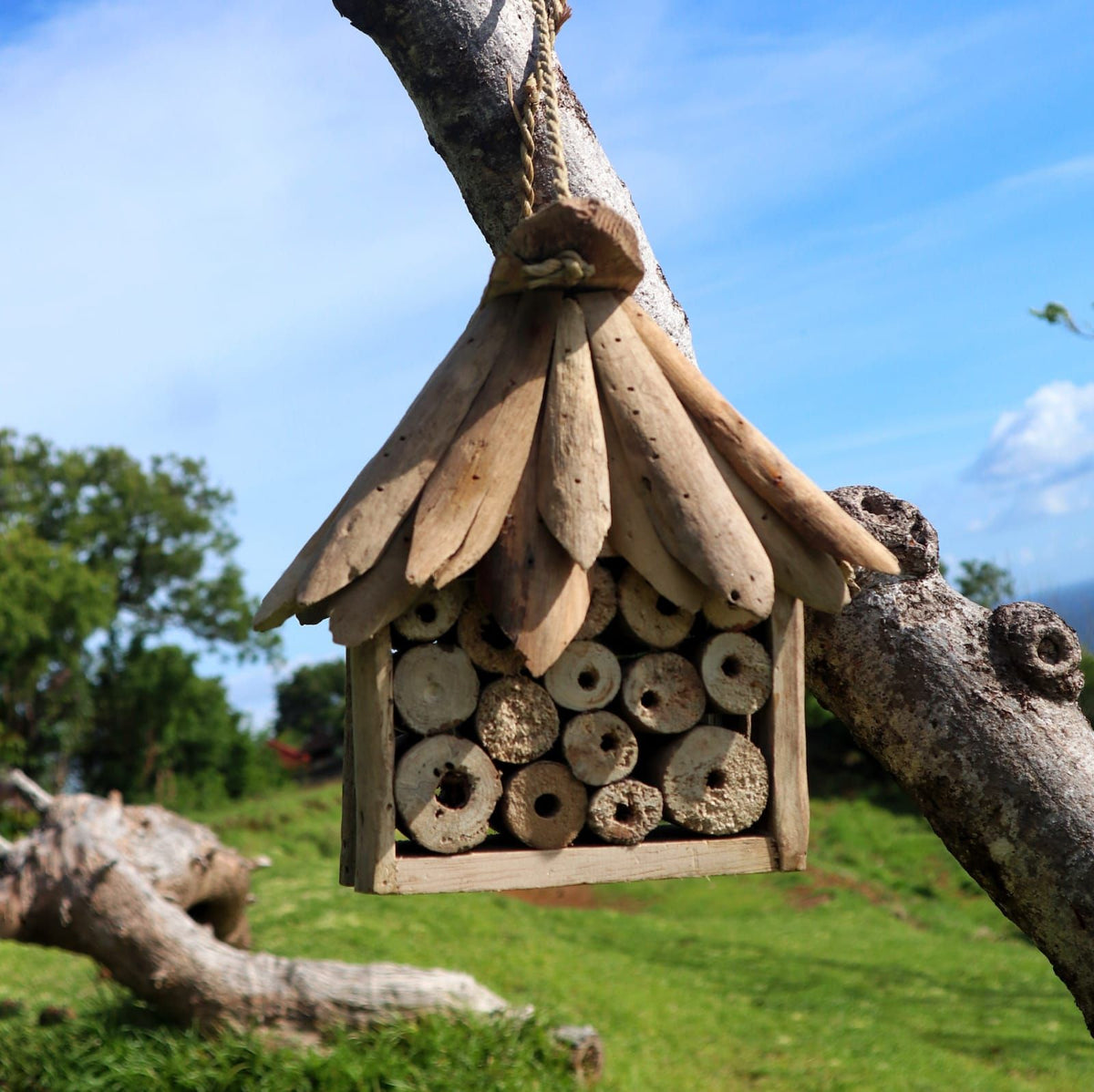 Driftwood Bee & Insect Box – Natural Garden Wildlife Habitat