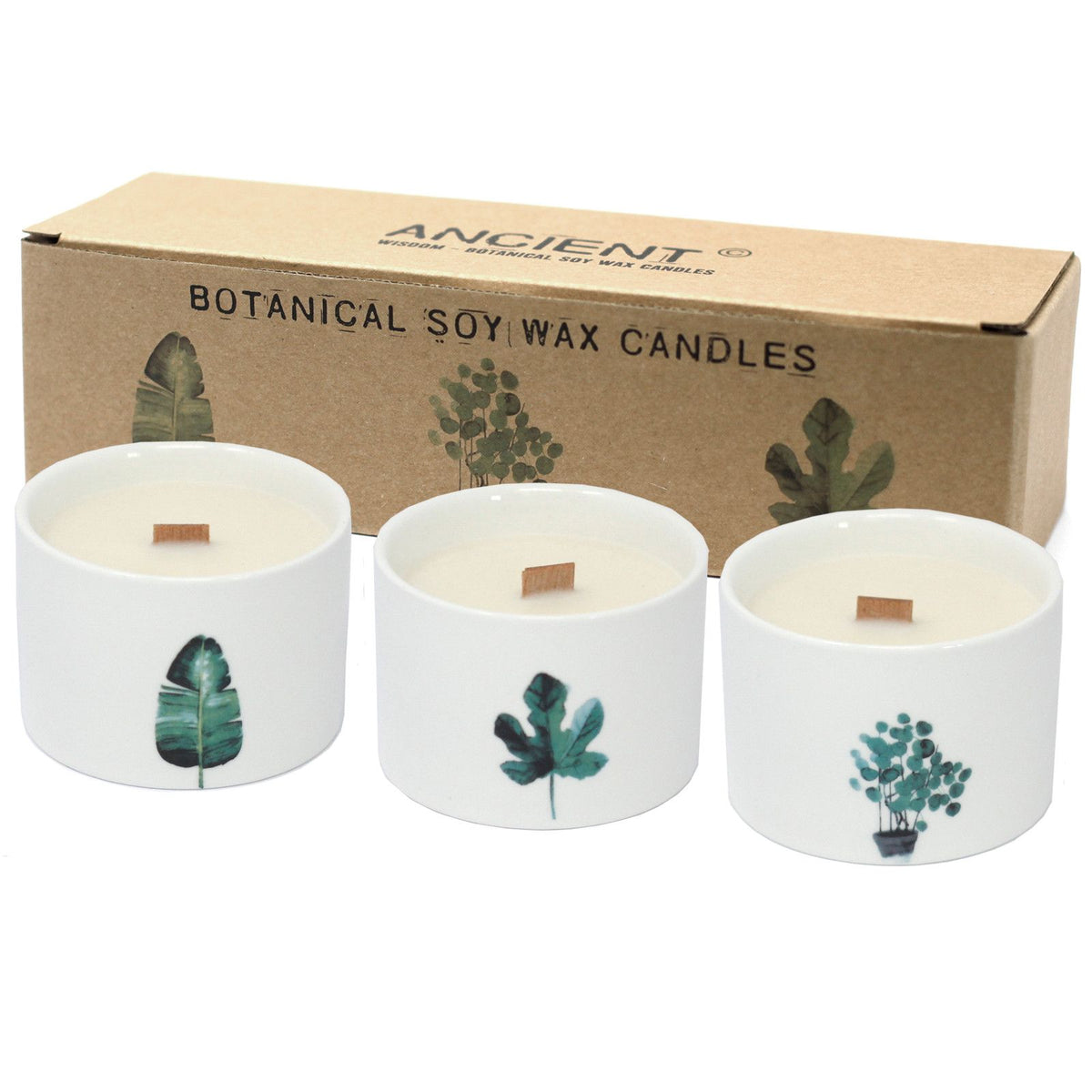 Medium Botanical Candles – Japanese Garden | Decorative Floral Candles