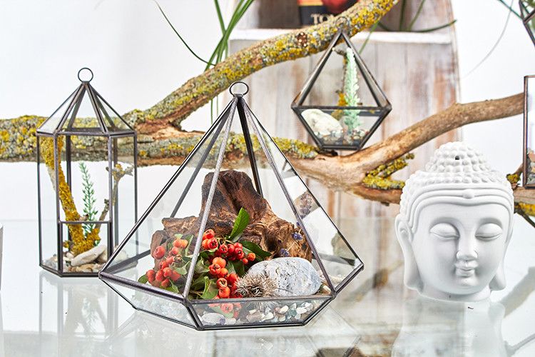 Large Diamond Glass Terrarium – Decorative Plant Terrarium