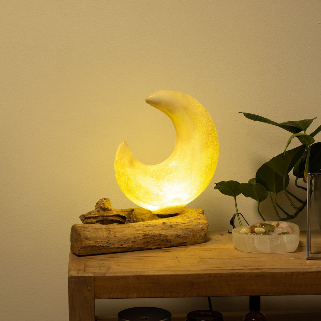 Moon-shaped lamp on a wooden surface with a plant in the background