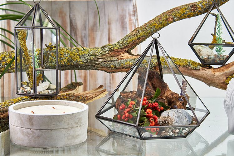 Large Diamond Glass Terrarium – Decorative Plant Terrarium