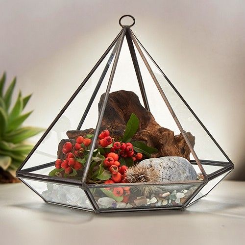 Large Diamond Glass Terrarium – Decorative Plant Terrarium