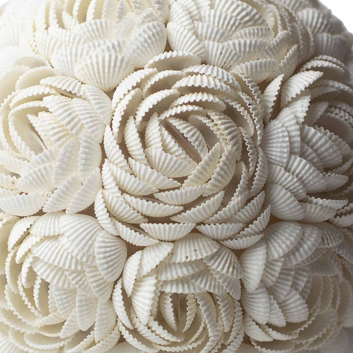 Close-up of white seashells arranged in a decorative pattern