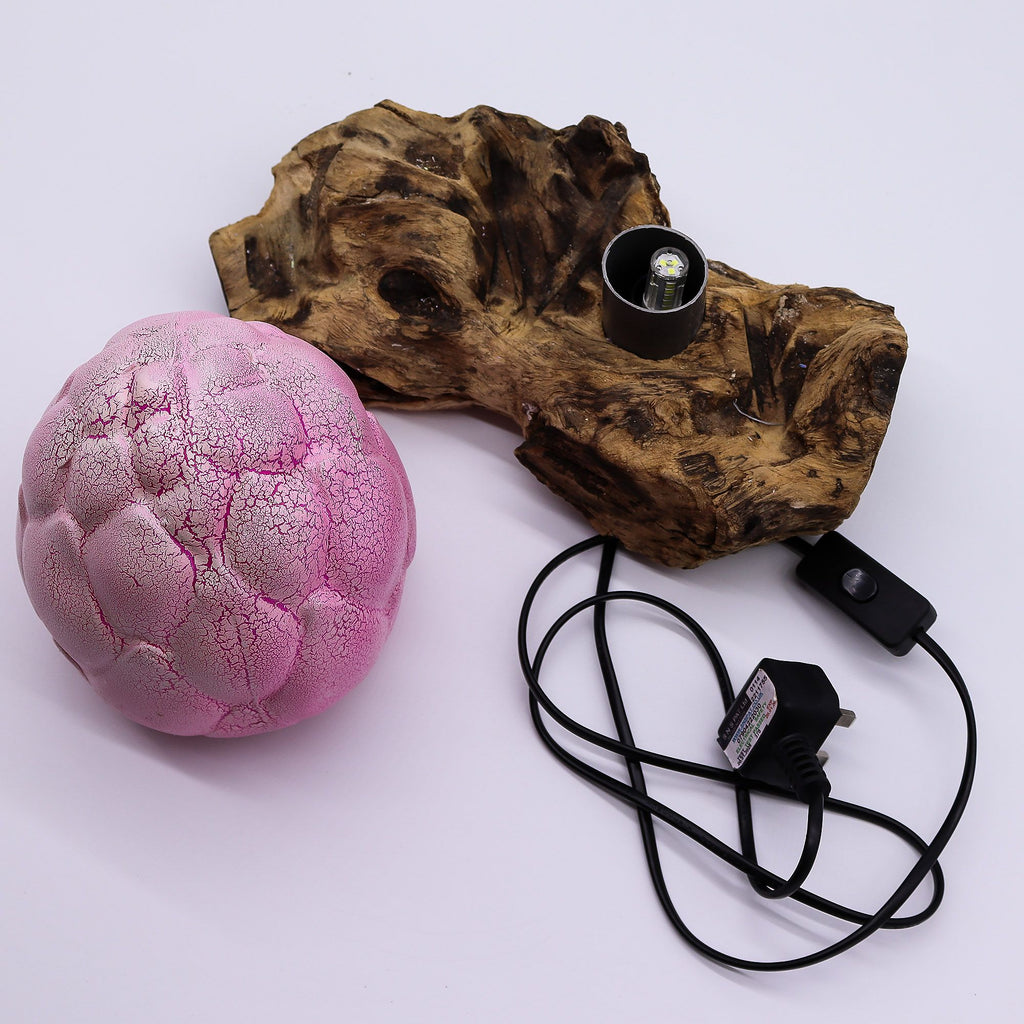 Pink textured sphere, wooden log with light bulb, and black power cord on a white background